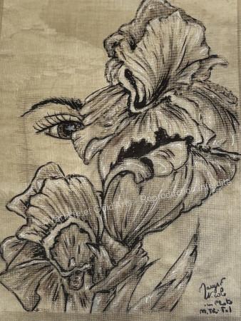 Artiste Coté